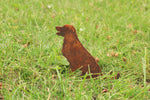 Bauernhof Tiere SET oder einzelnd