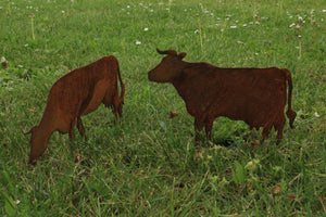 Bauernhof Tiere SET oder einzelnd