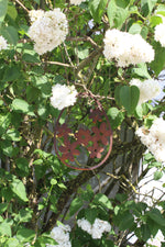 Osterei mit Blüten zum Hängen