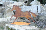 Pferd laufend auf Platte