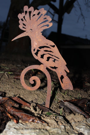 Wiedhopf auf Curlstecker