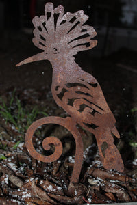 Wiedhopf auf Curlstecker