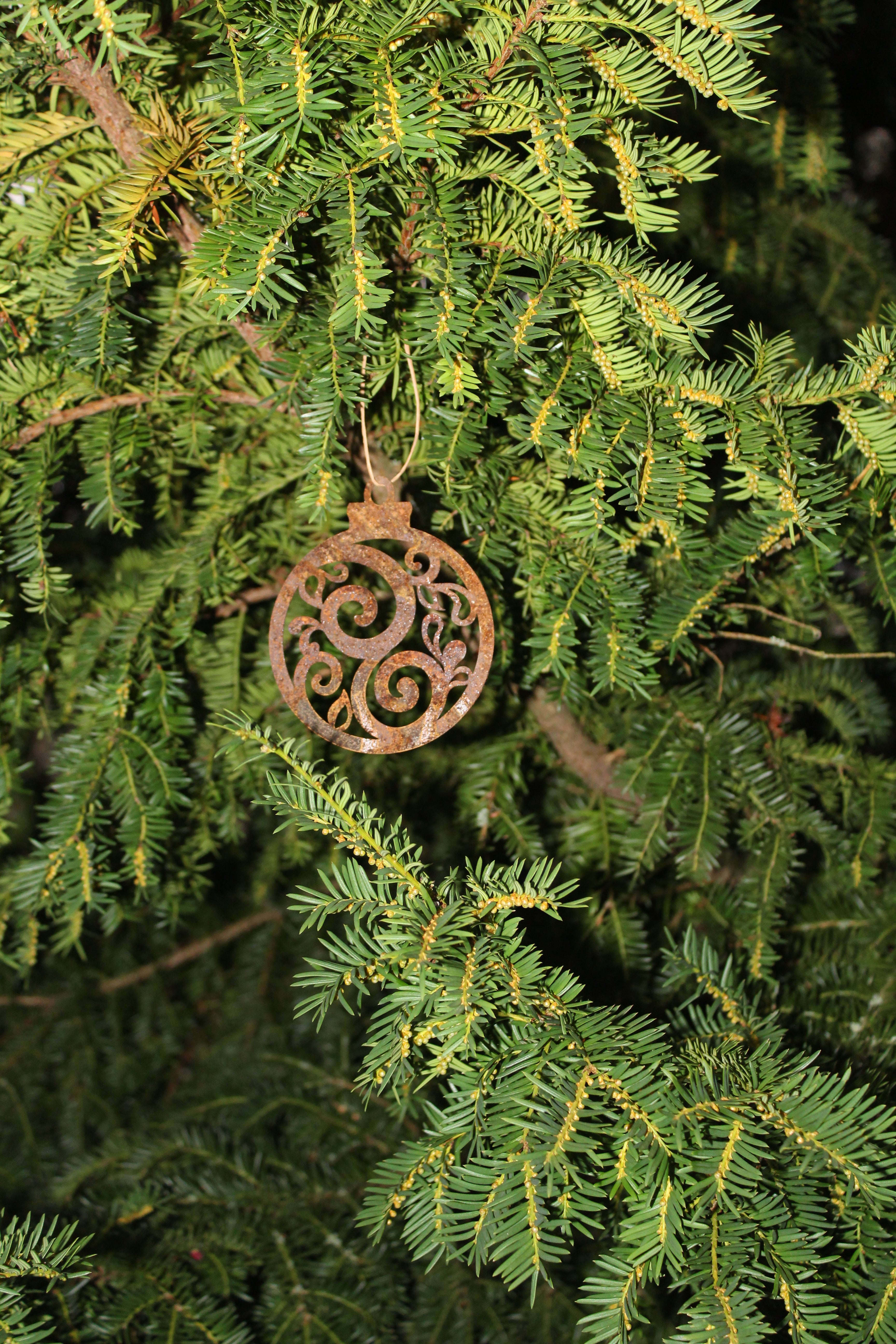 runde Barockornamente