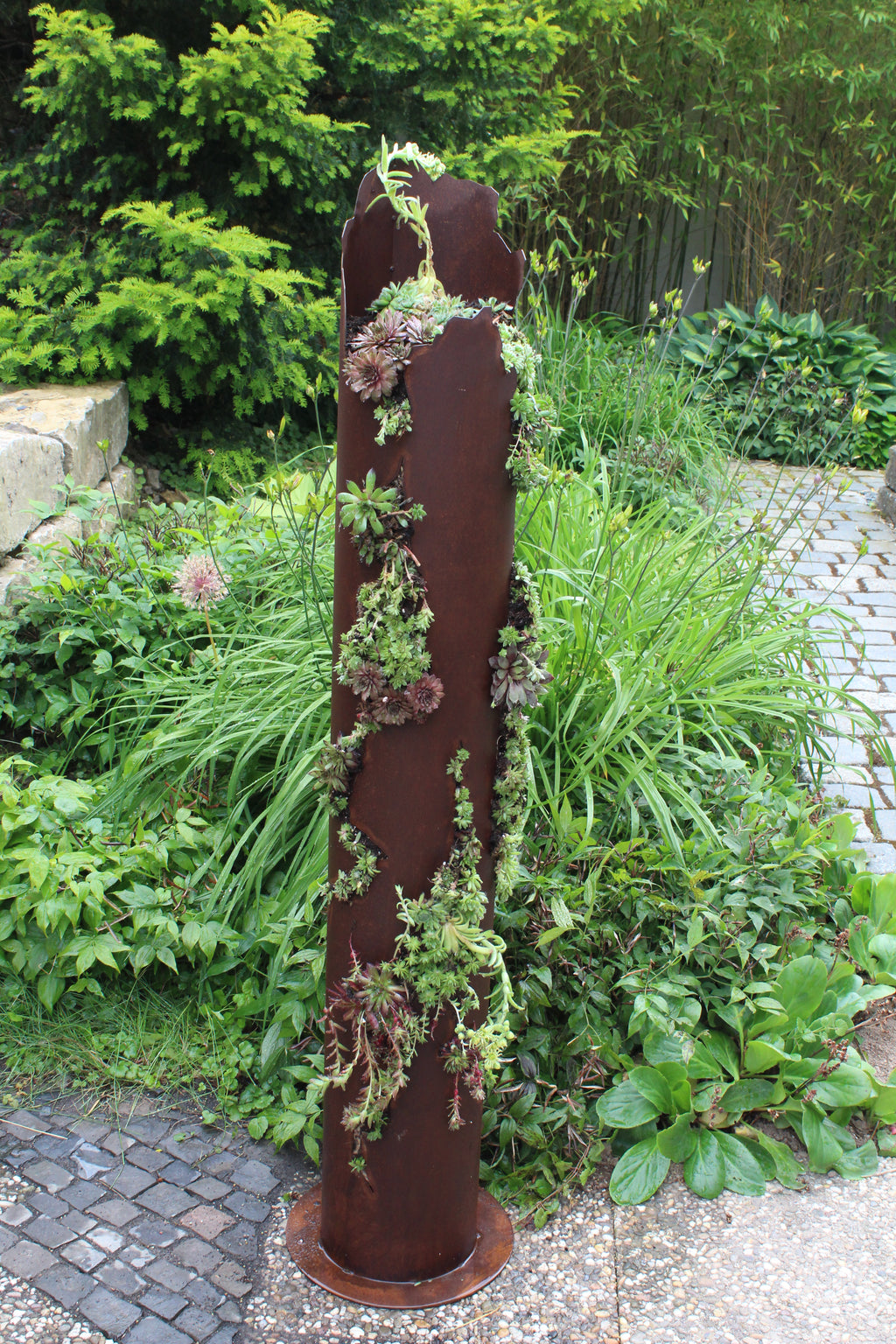 Sukkulentensäule mit Rissen