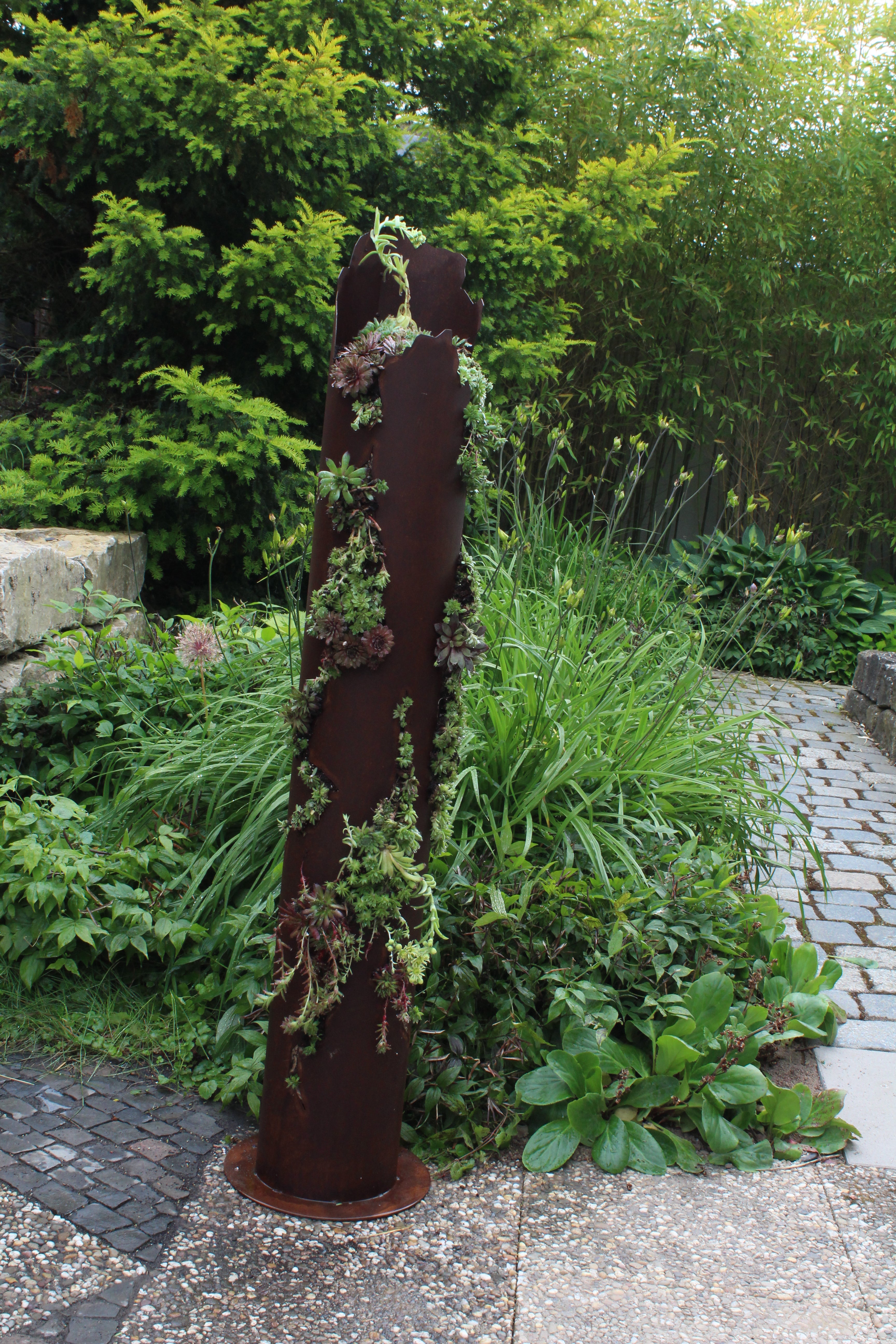 Sukkulentensäule mit Rissen