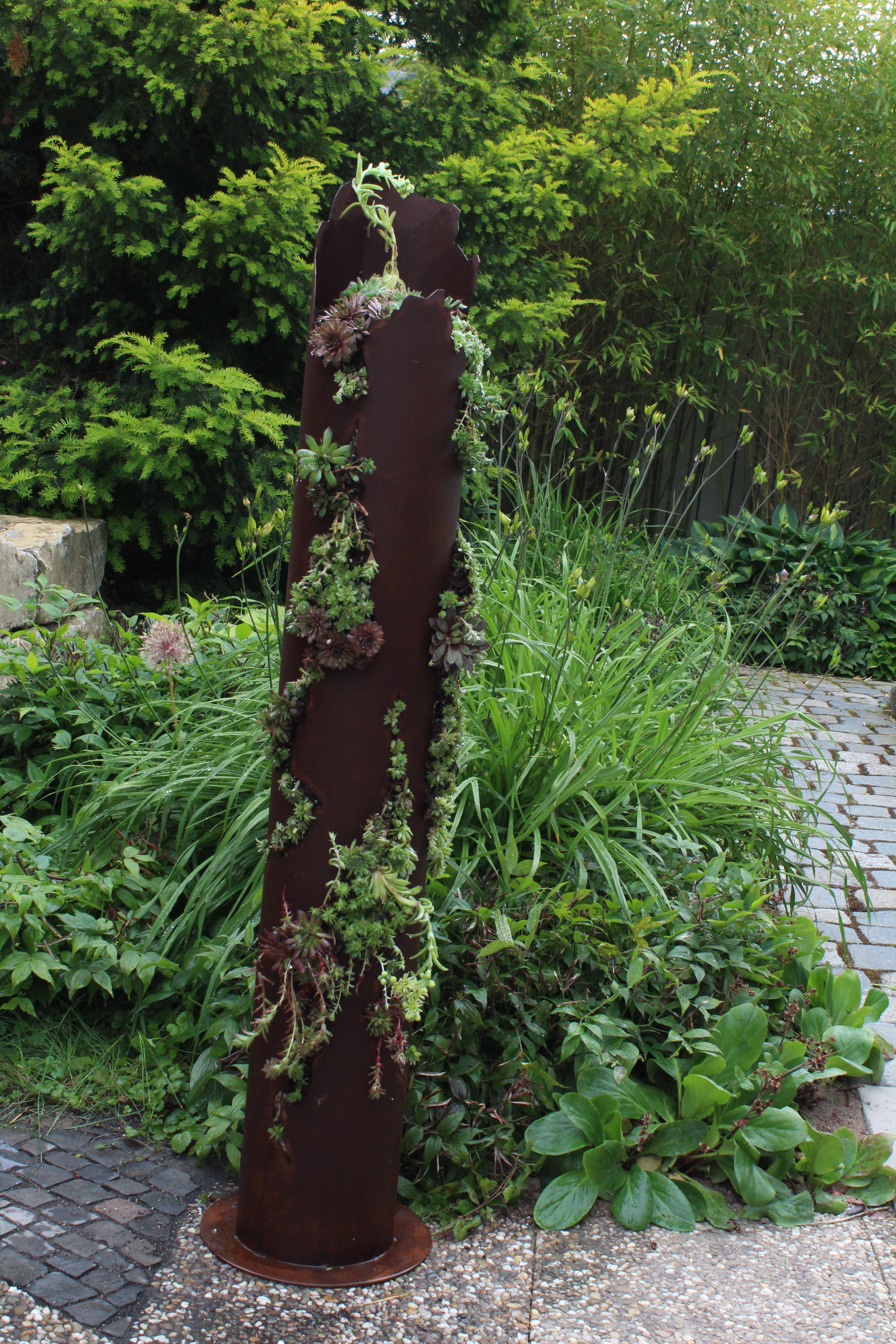 Sukkulentensäule mit Rissen