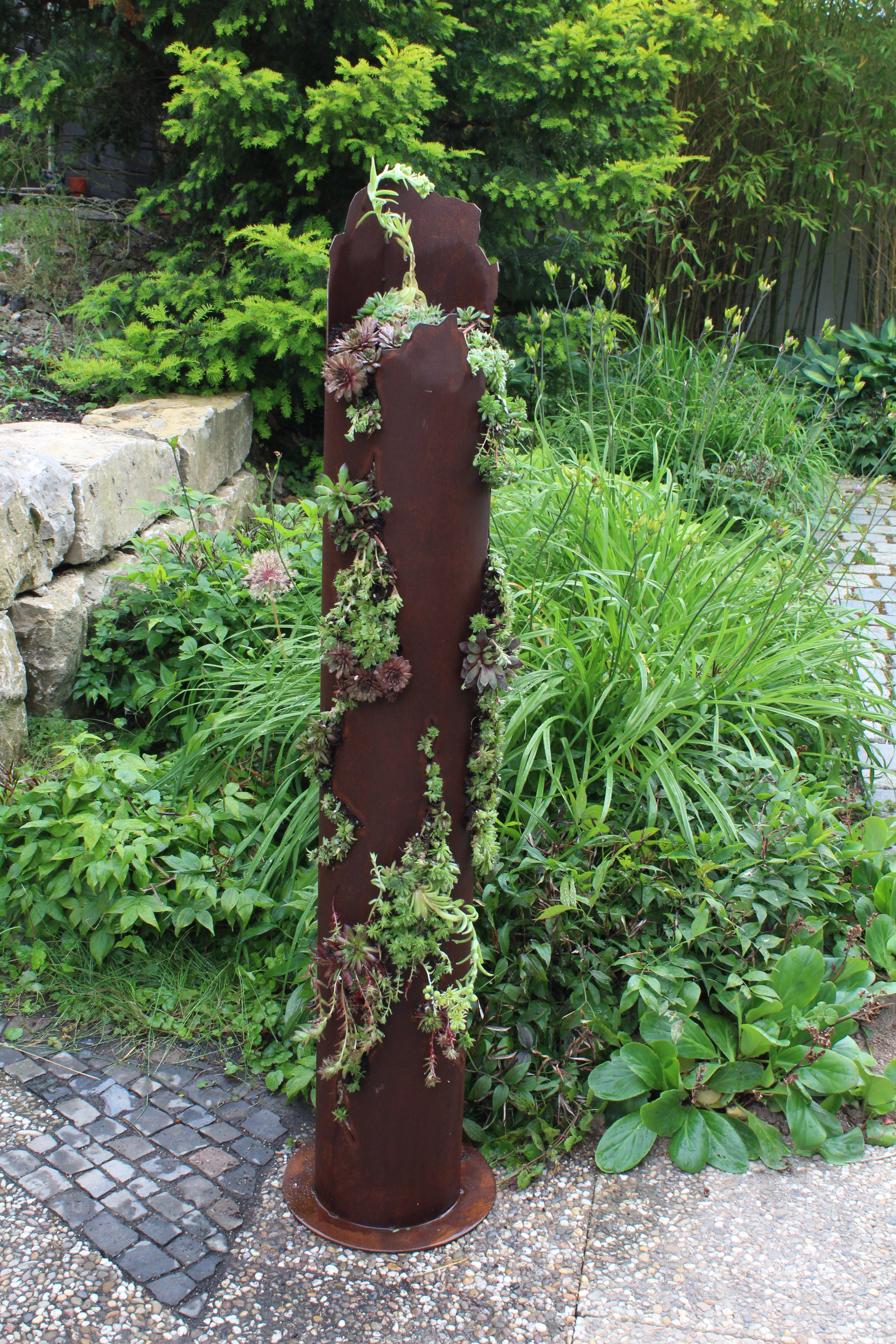Sukkulentensäule mit Rissen