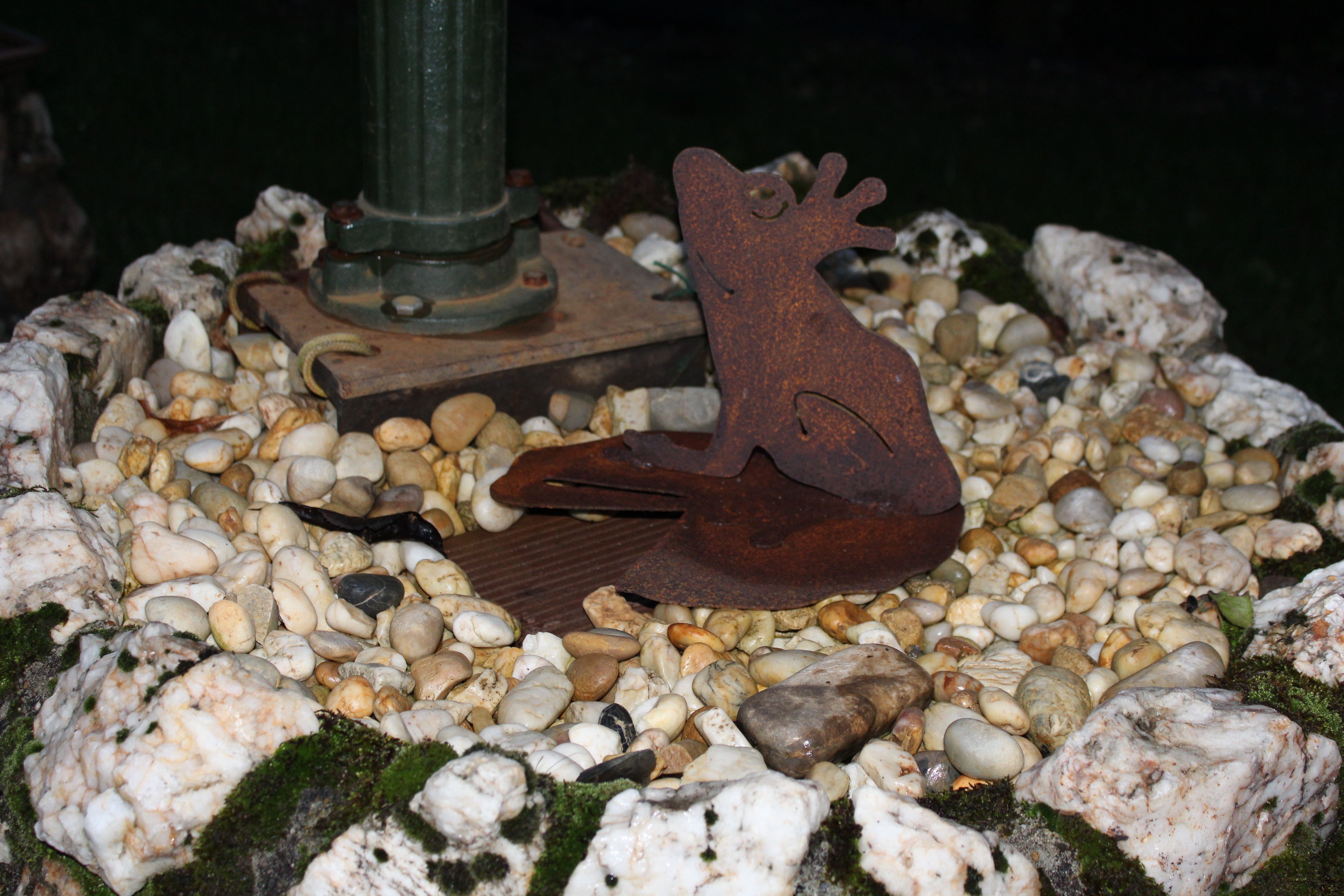 Frosch auf Seerosenblatt