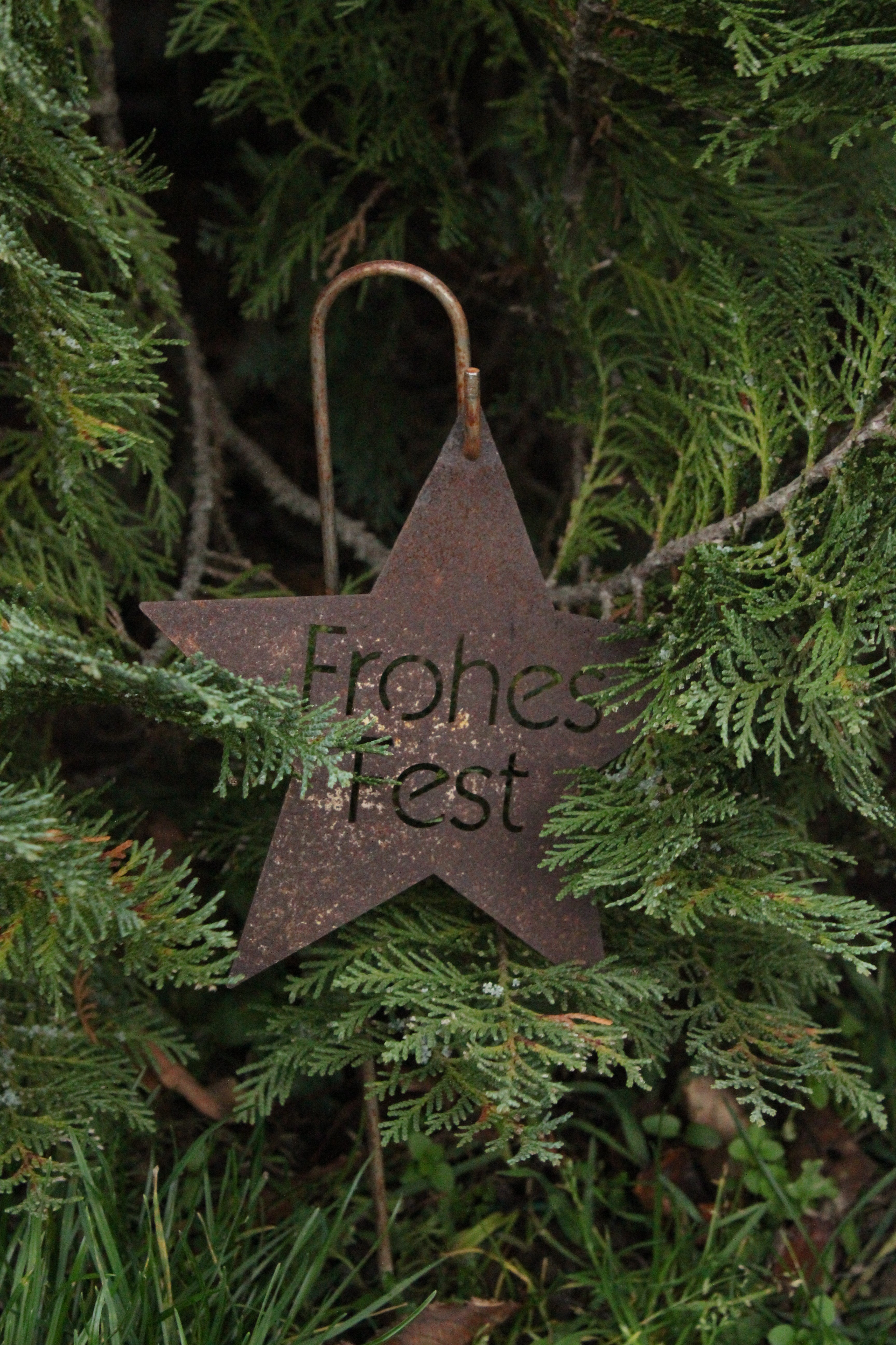 Stern "Frohes Fest" auf Stab