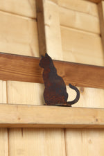 Minikatze sitzend auf Platte