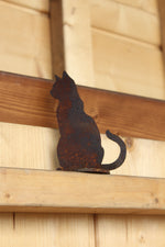 Minikatze sitzend auf Platte