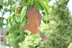 fliegende Vögel Mix