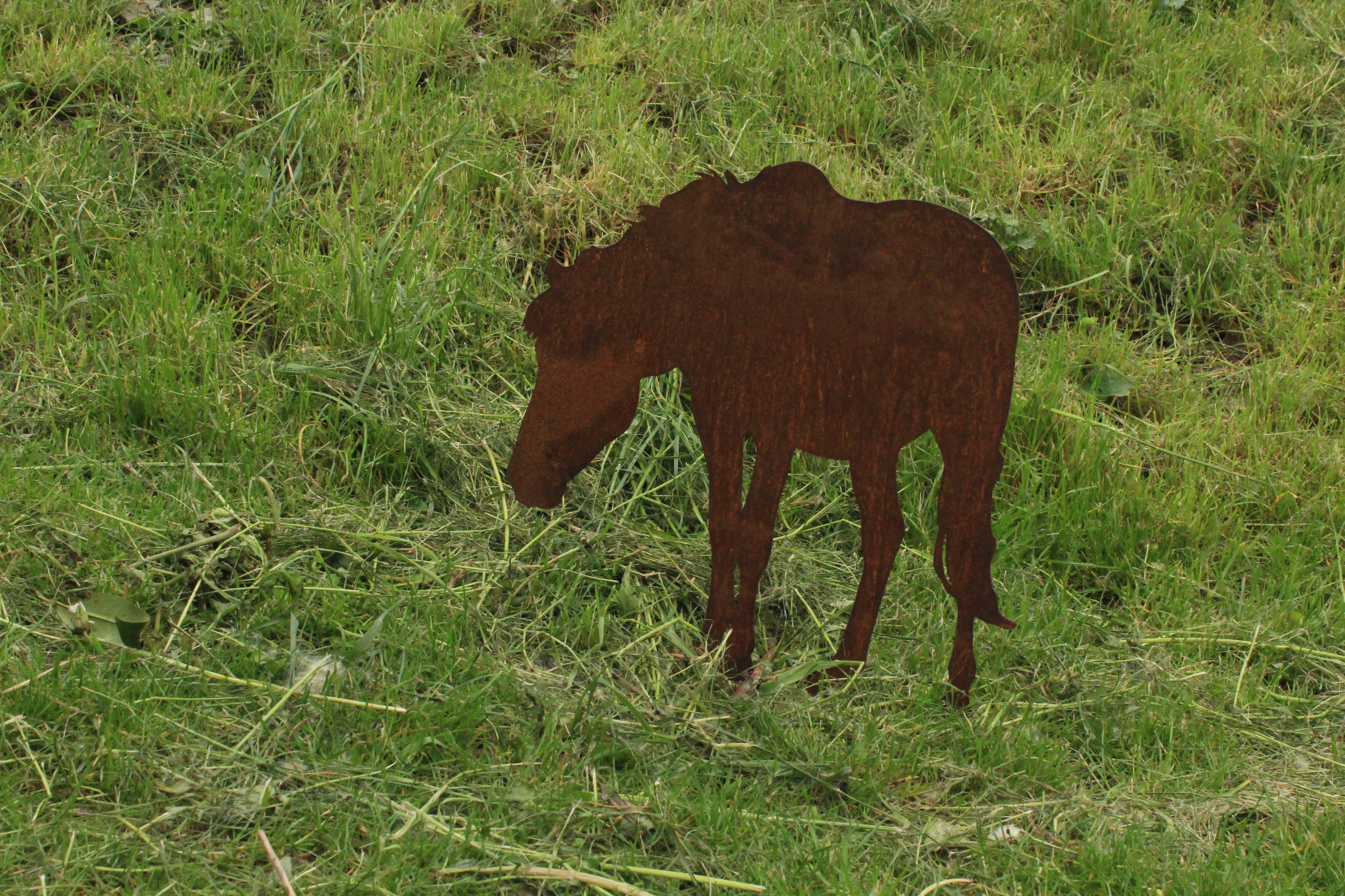 Pferd grasend, Bauernhof Tiere