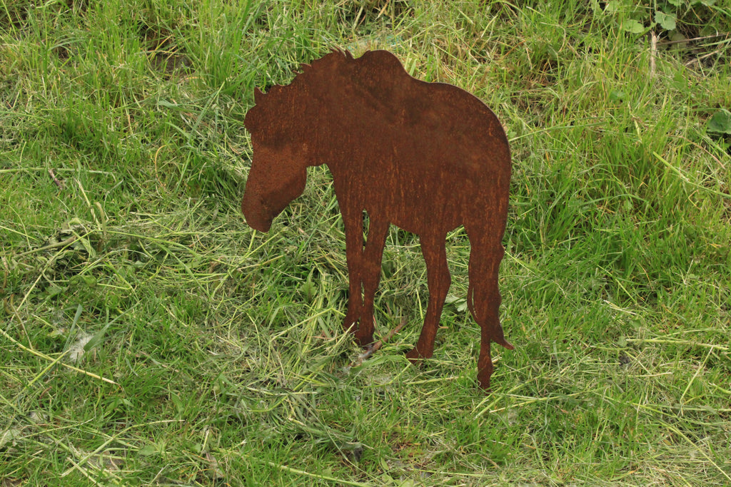 Pferd grasend, Bauernhof Tiere