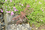 Libelle mit Beinen
