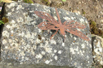 Libelle mit Beinen