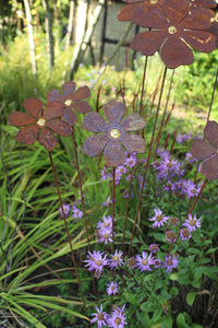 Blütentraum Blüte mit Goldpunkt