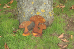 Pilze mit Goldpunkten