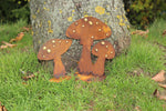 Pilze mit Goldpunkten