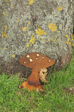 Pilze mit Goldpunkten