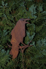 Rabe auf Ast sitzend, auf Stab