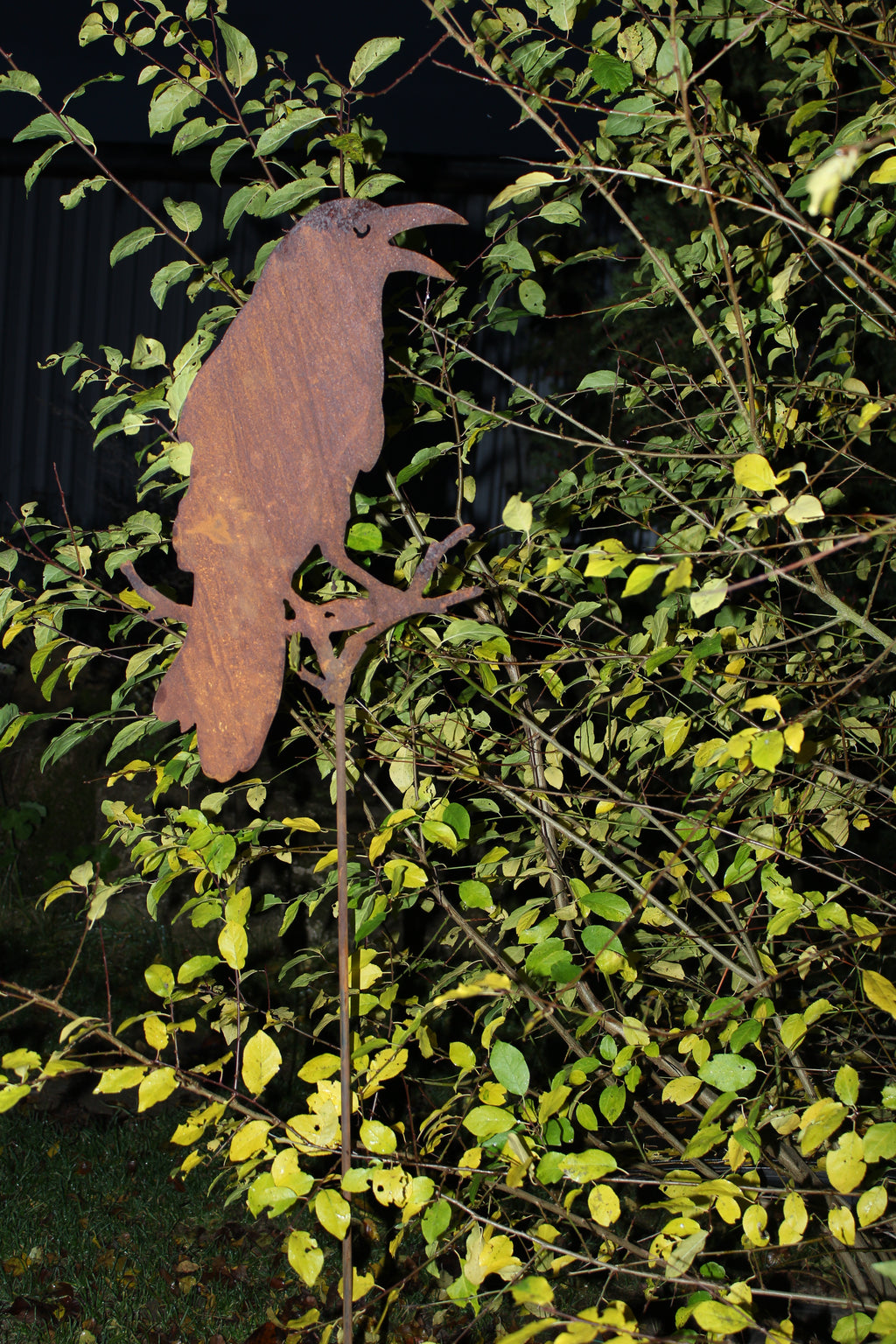 Rabe auf Ast sitzend, auf Stab