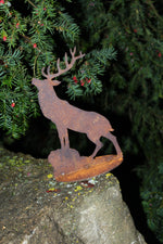 Hirsch röhrend auf Platte