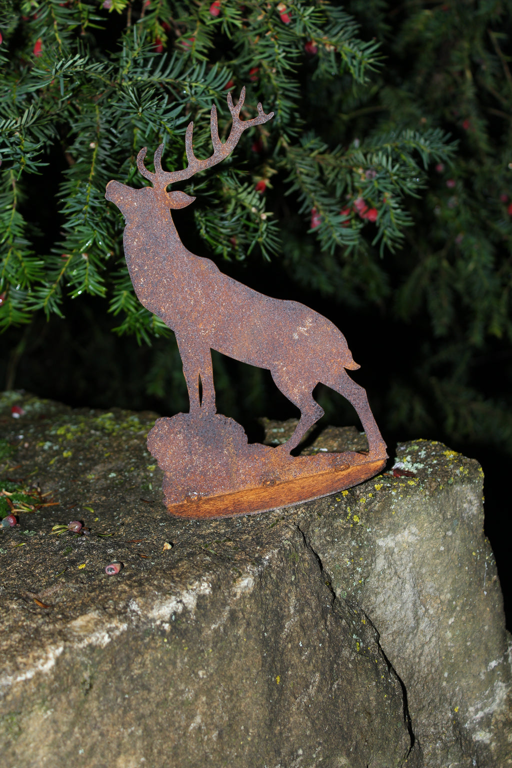 Hirsch röhrend auf Platte