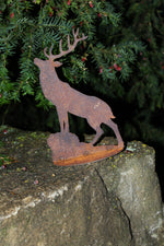 Hirsch röhrend auf Platte