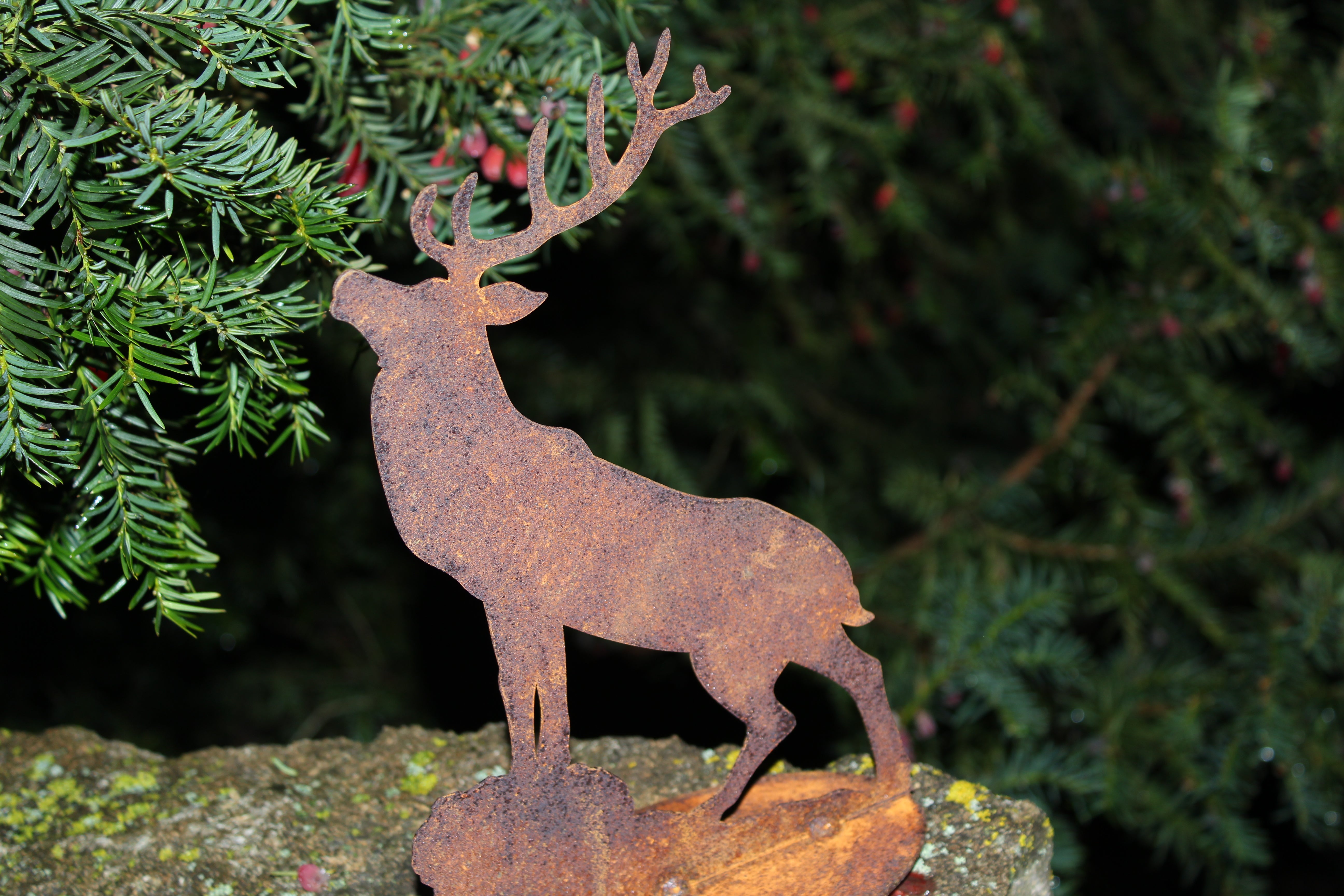 Hirsch röhrend auf Platte