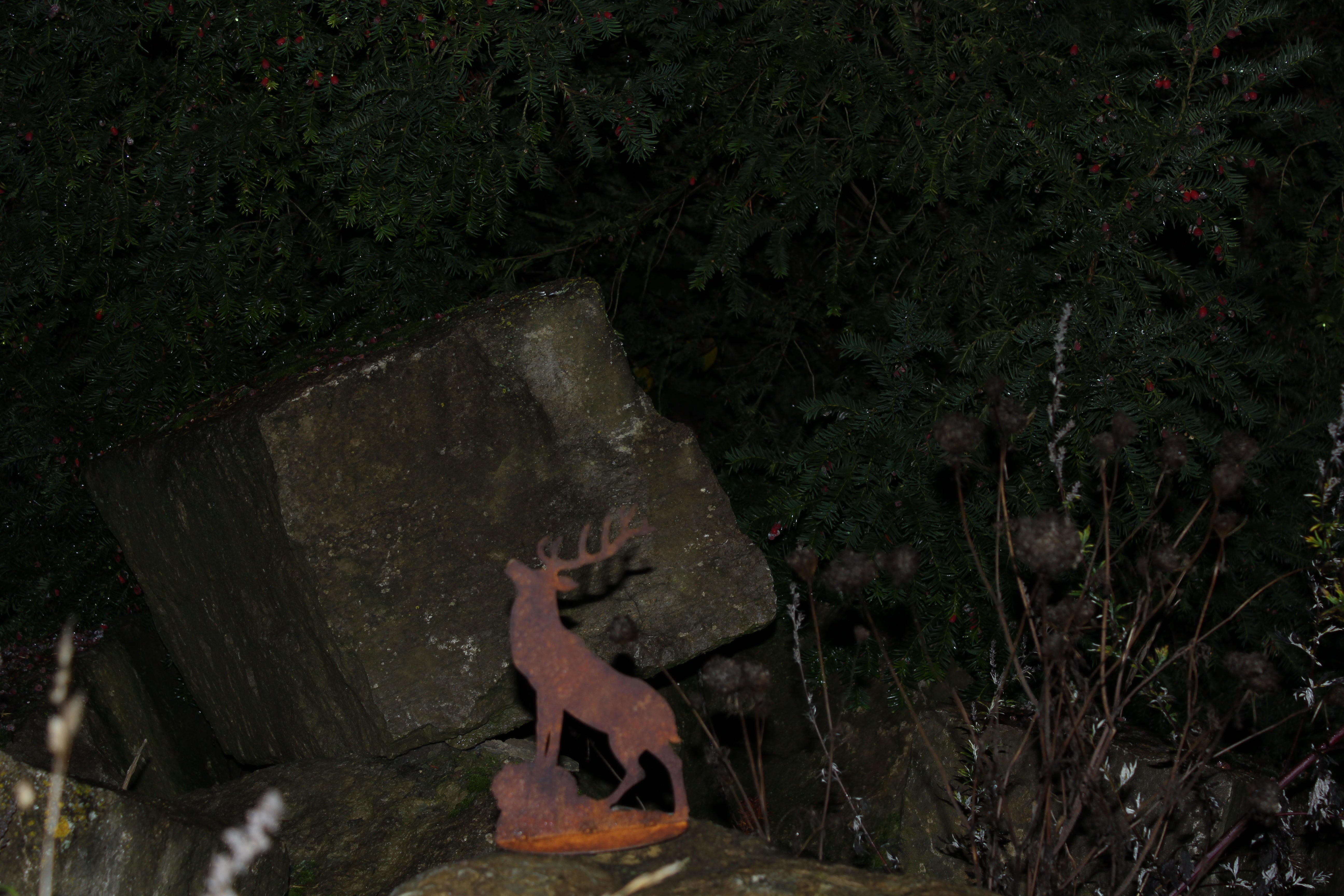 Hirsch röhrend auf Platte