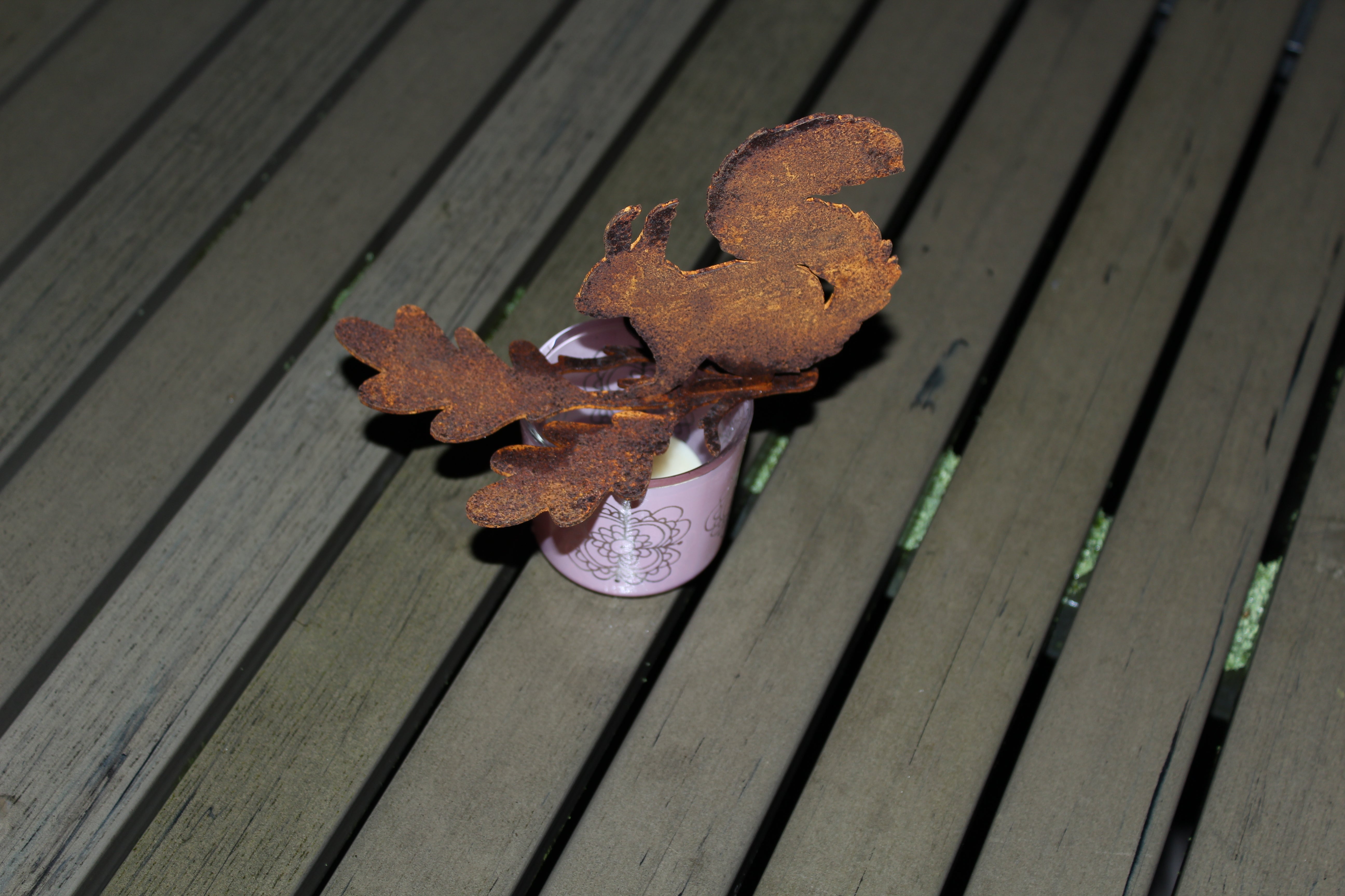 Eichhörnchen auf Eichenblatt