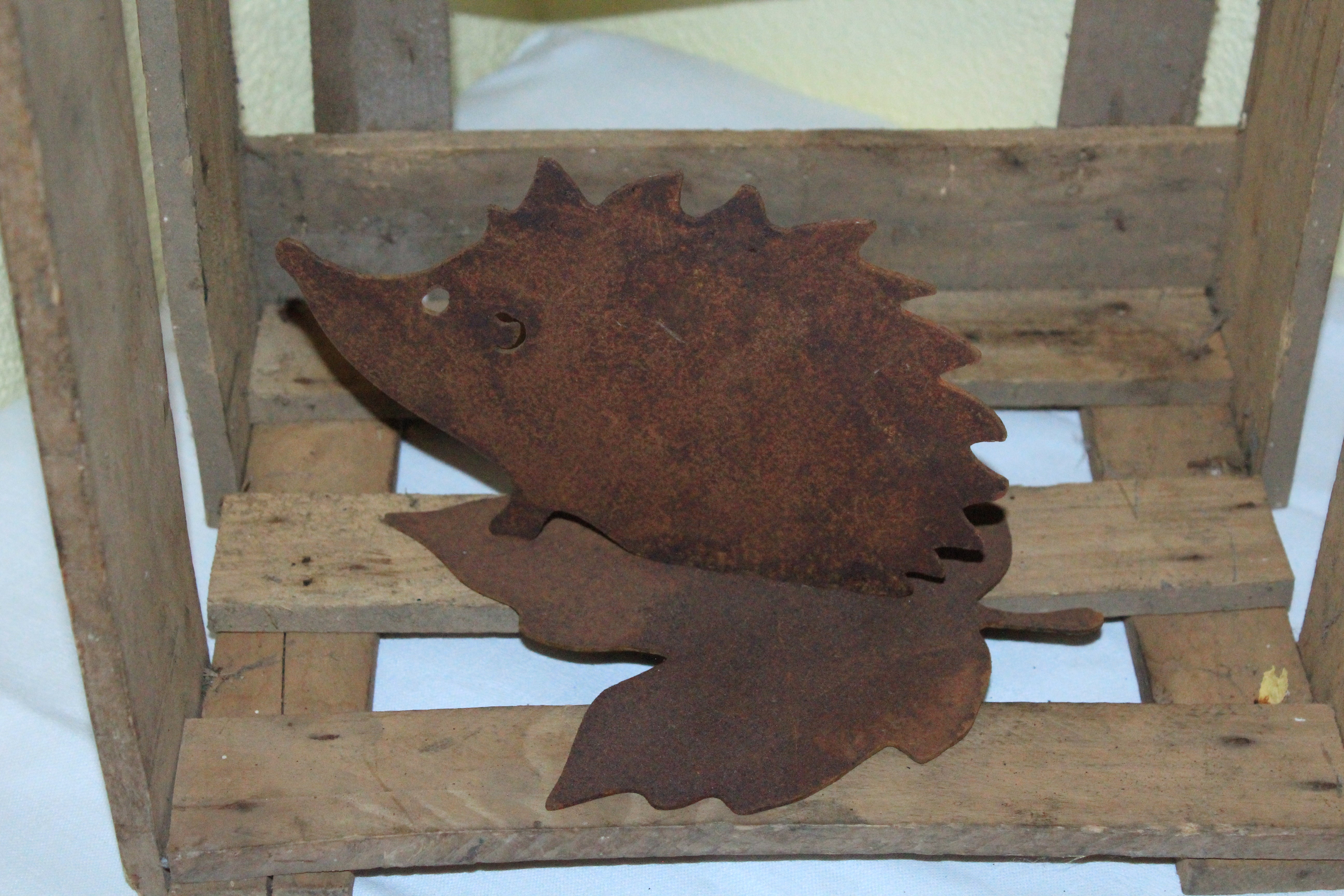 Igel verschiedene Größen