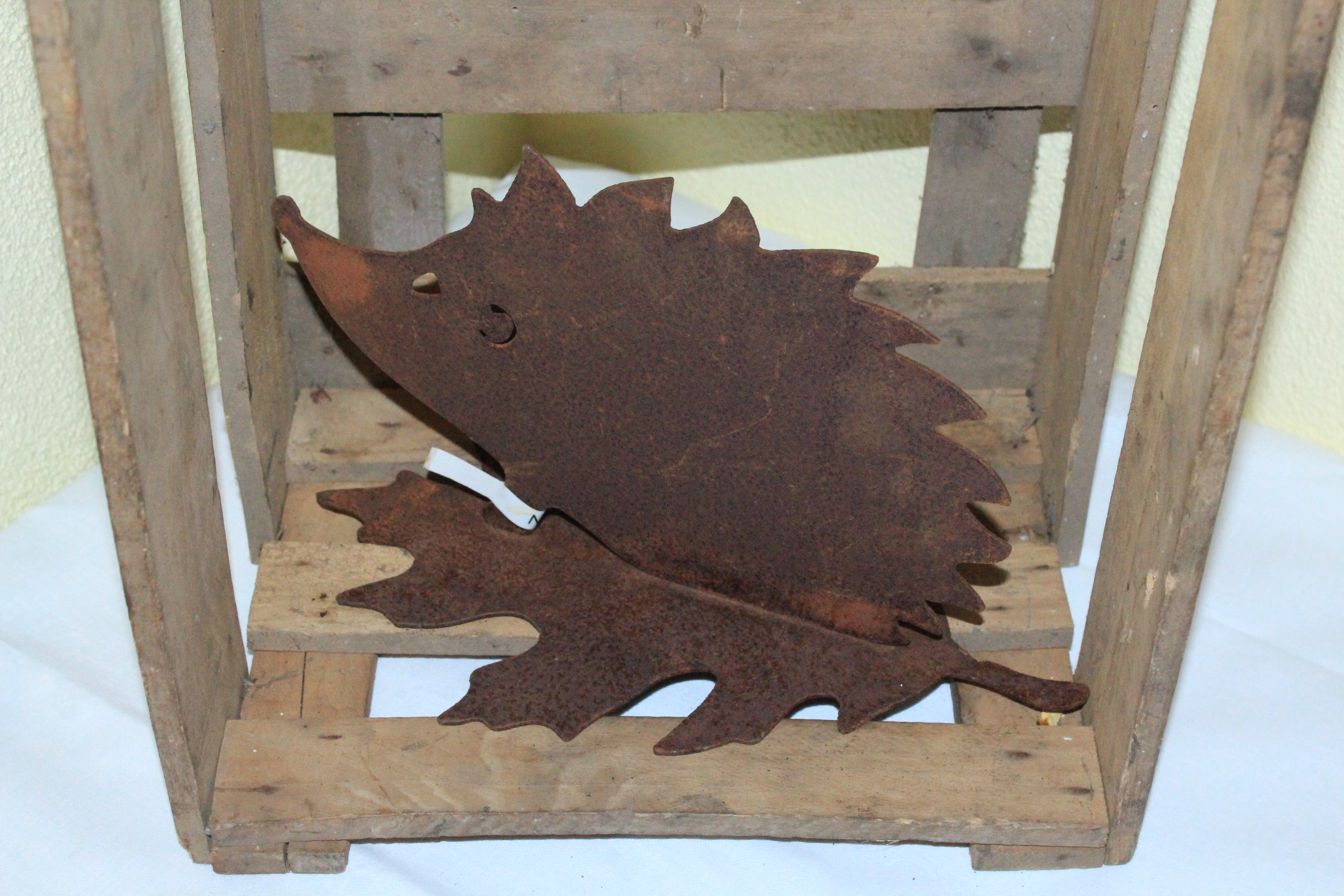 Igel verschiedene Größen