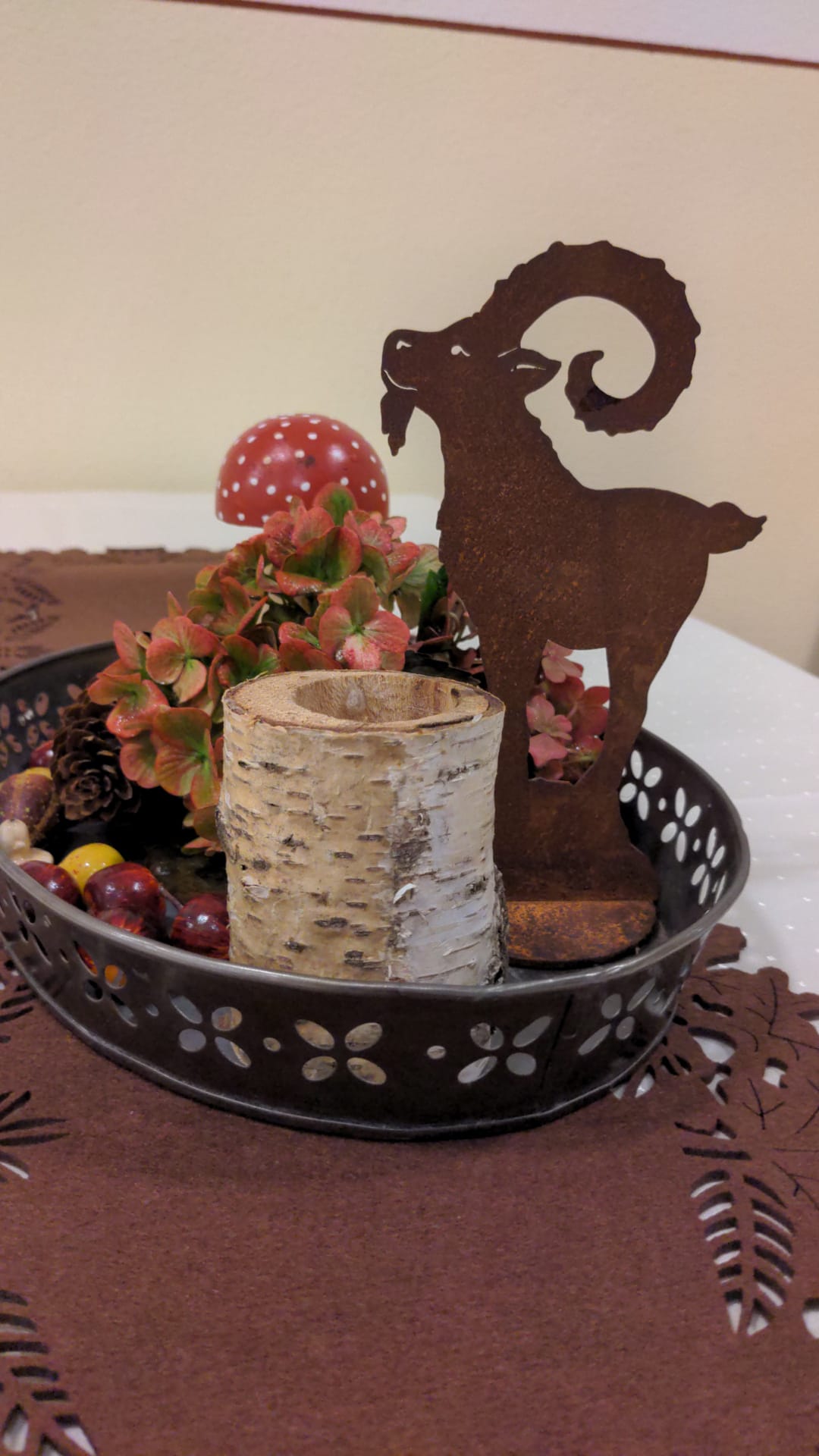 kleiner Steinbock auf Fels