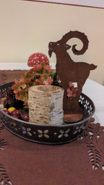 kleiner Steinbock auf Fels