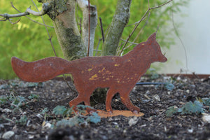 kleiner Fuchs laufend auf Platte