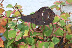 Schnecke auf Curlstab