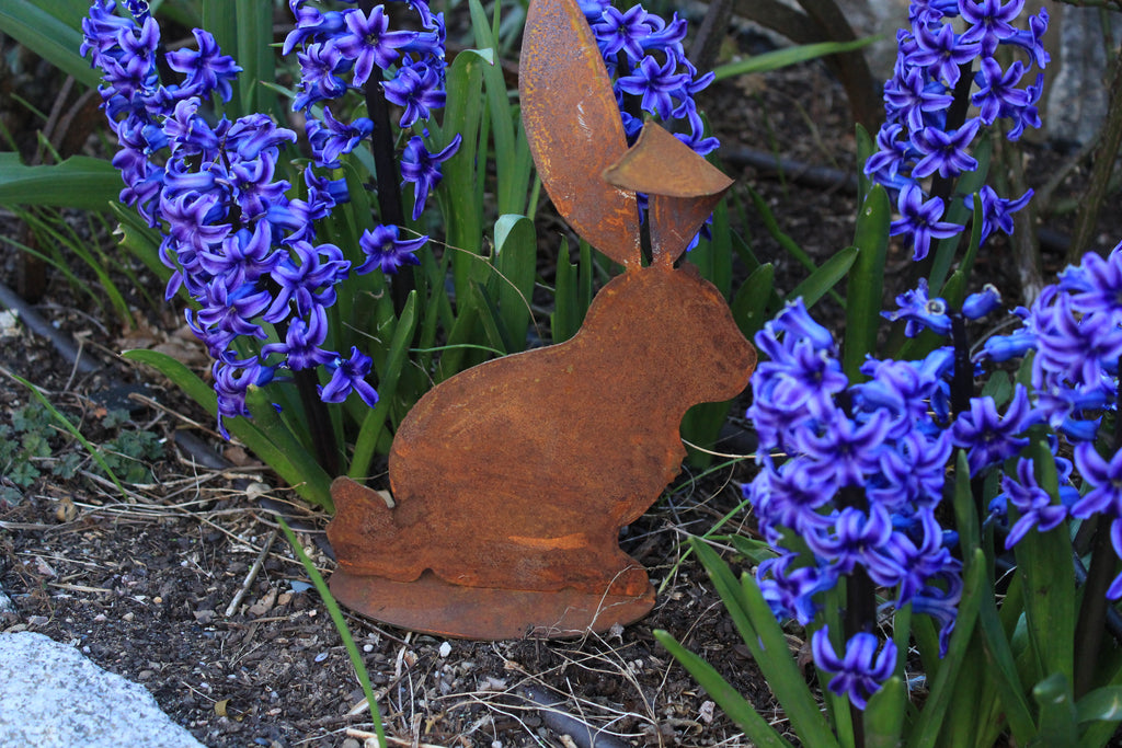 Hase mit  großen, gebogenen Ohren