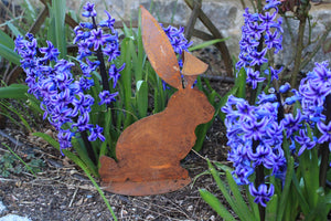 Hase mit  großen, gebogenen Ohren