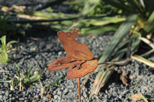 Frosch auf Seerosenblatt zum Stecken
