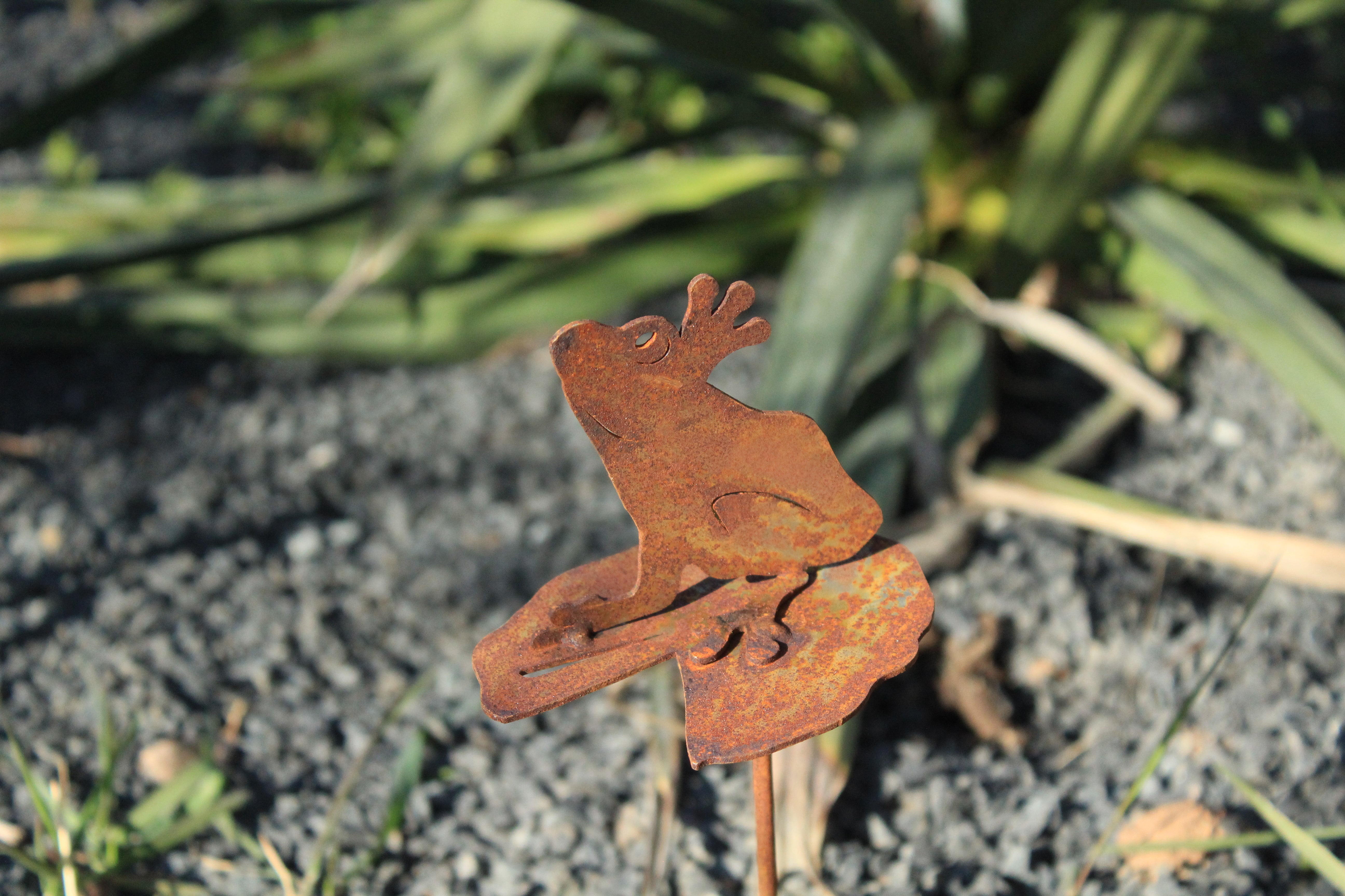 Frosch auf Seerosenblatt zum Stecken