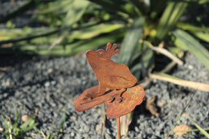 Frosch auf Seerosenblatt zum Stecken