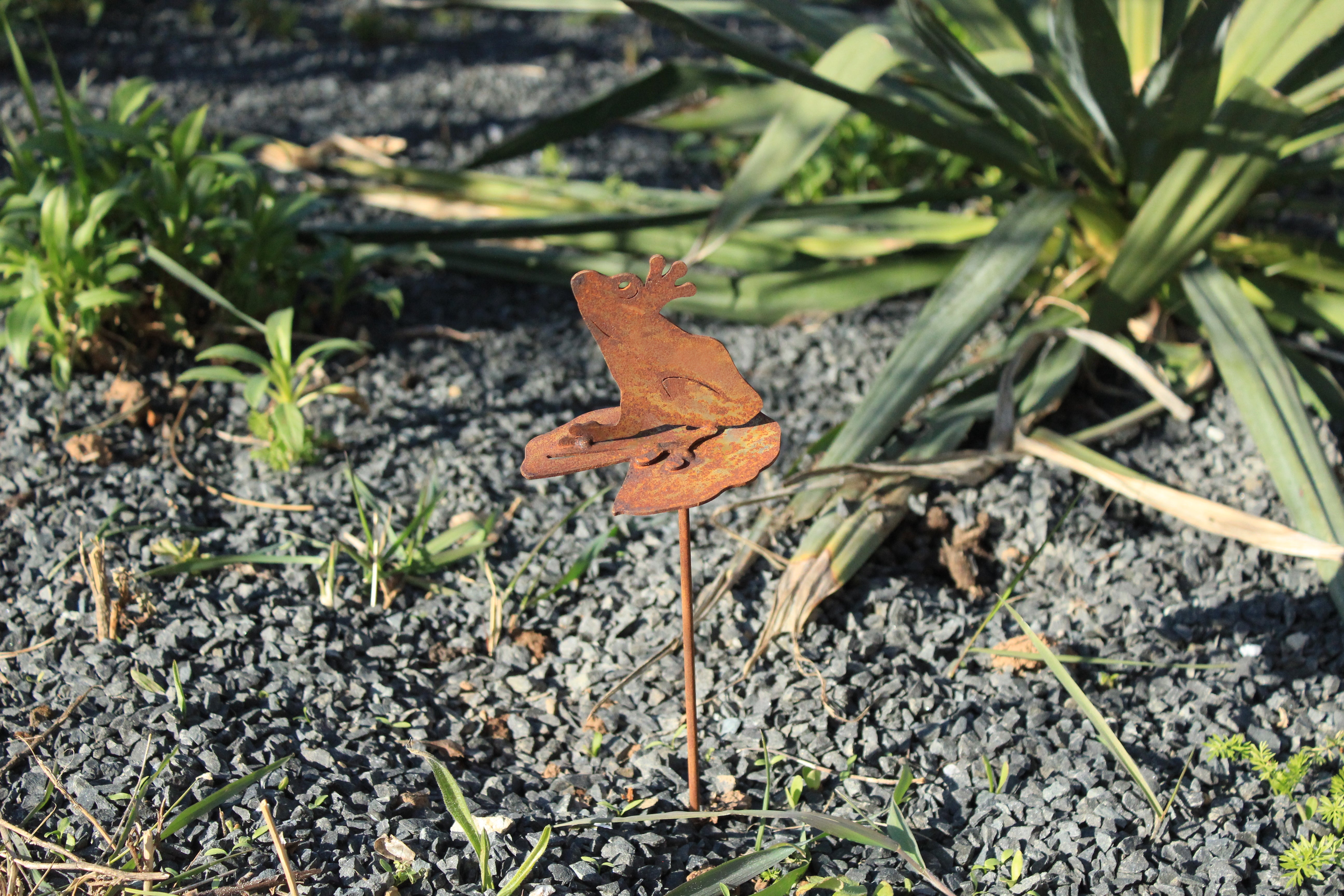 Frosch auf Seerosenblatt zum Stecken