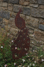 Pfau