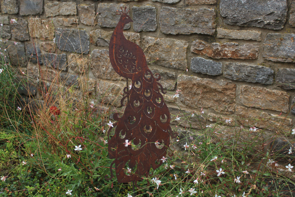 Pfau