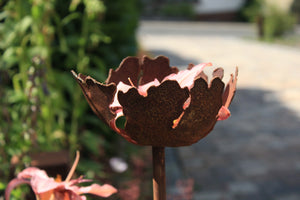 Mini Rissschale hoch
