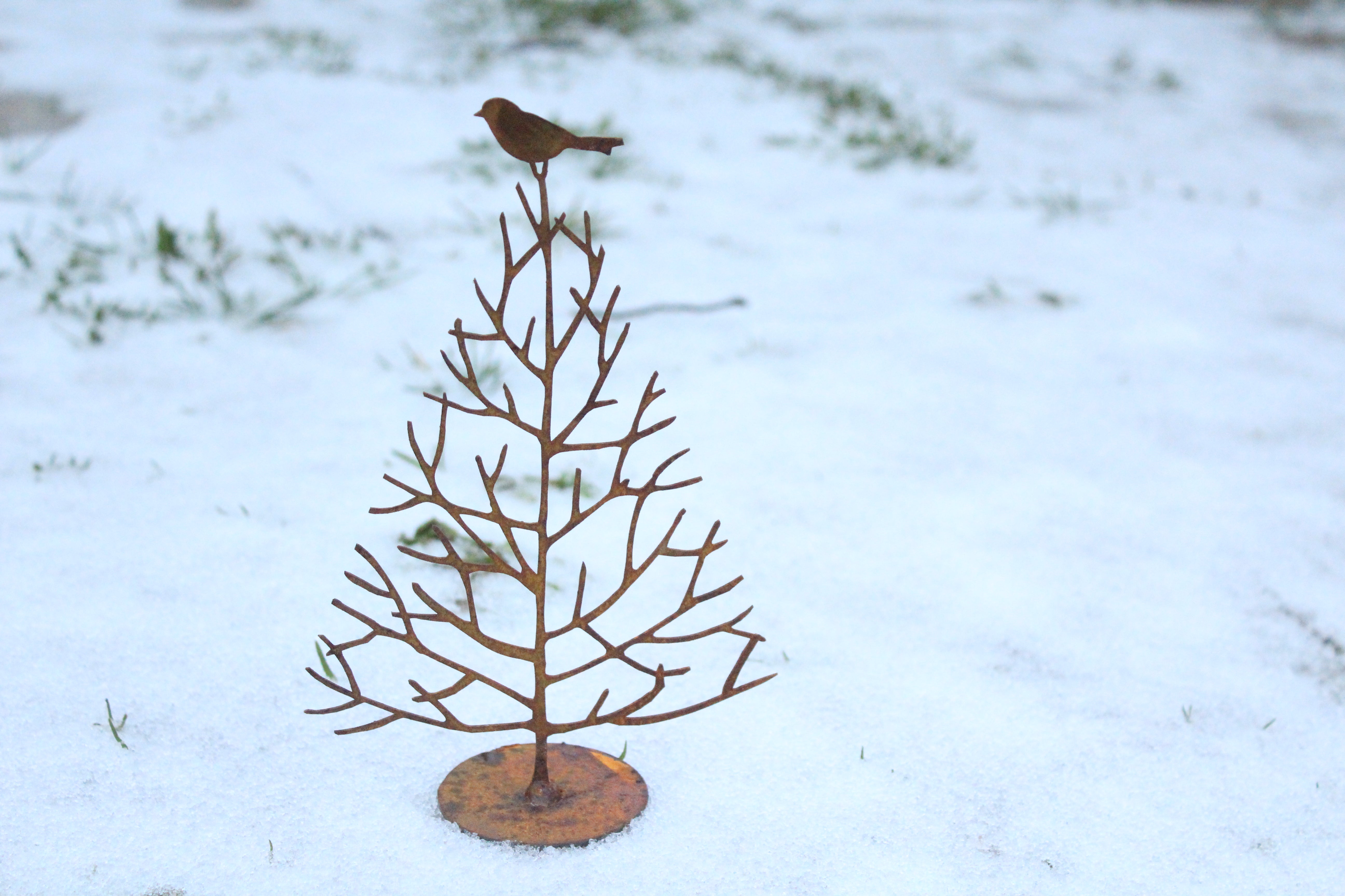 Baum "Tschiep!"