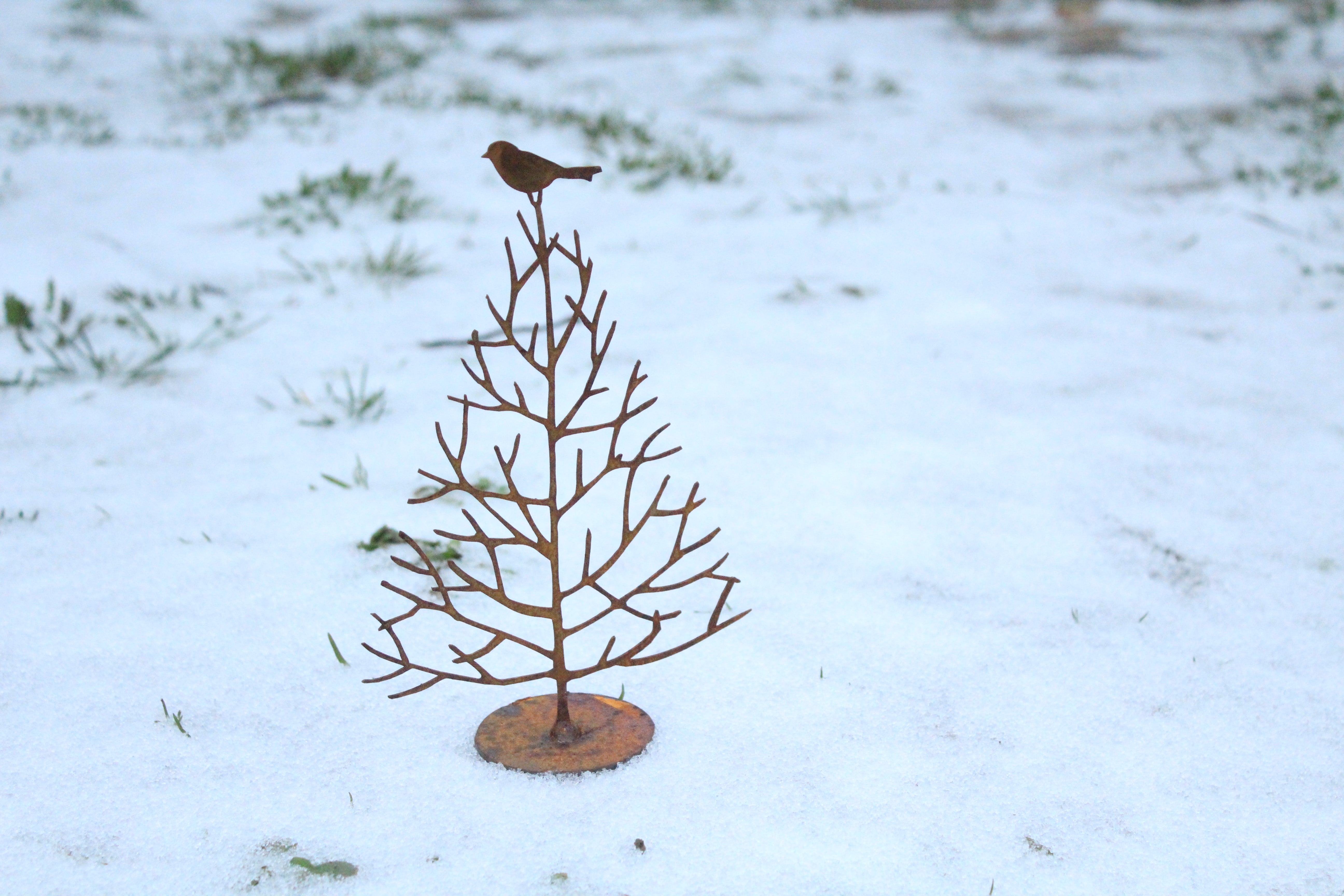 Baum "Tschiep!"