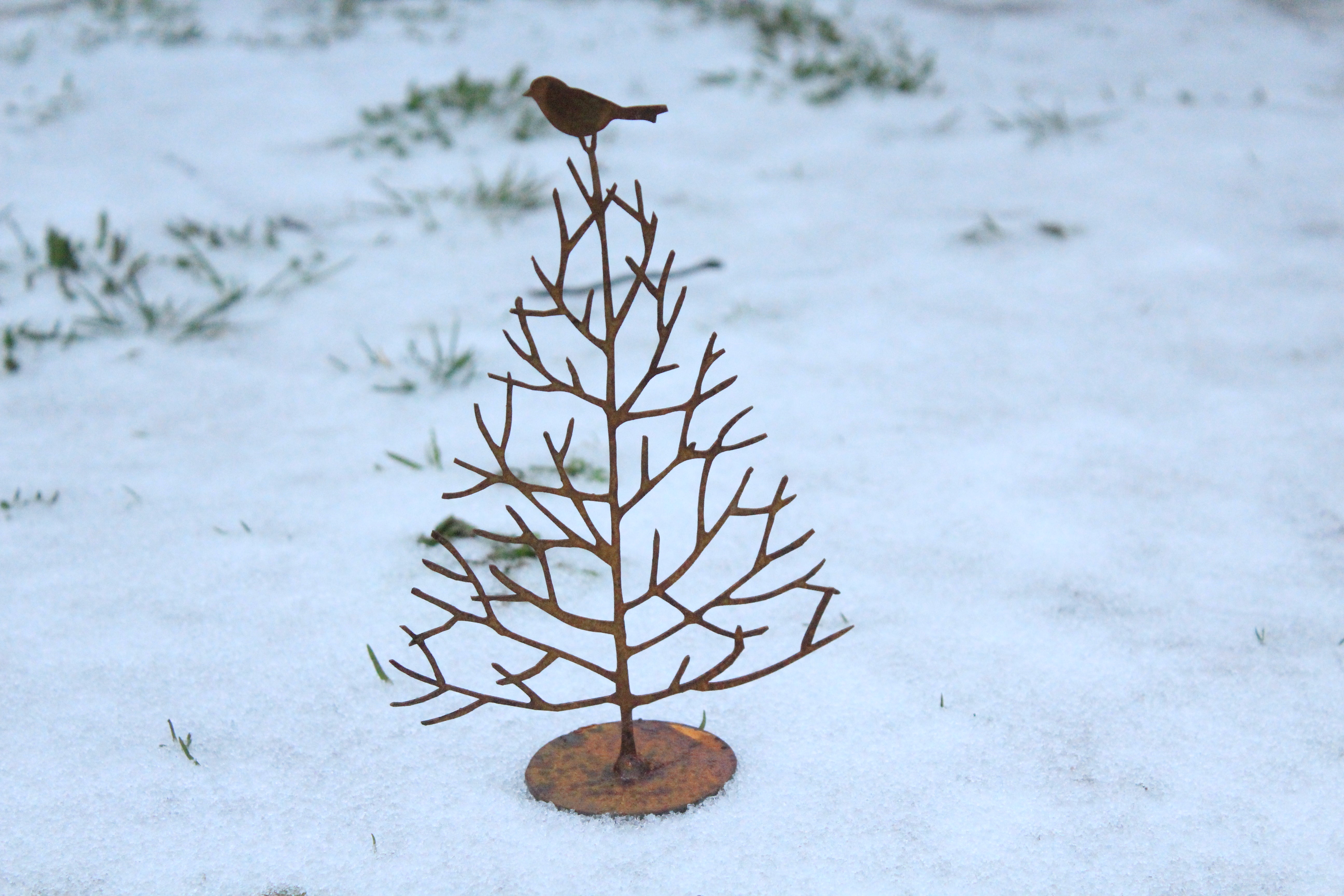 Baum "Tschiep!"